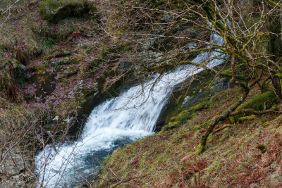 Small waterfall near the Upper Lake car park