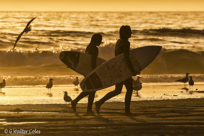 Surfer couple walk 3-10-17 2 Silhouette.jpg