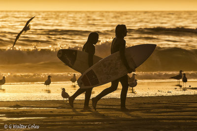 Surfer couple walk 3-10-17 (2) Silhouette.jpg