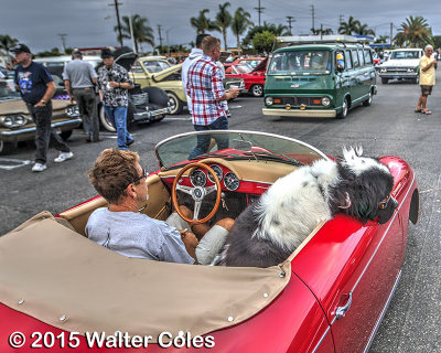 Porsche 1960s Sheep Dog DD 8-8-15 HDR (4).jpg