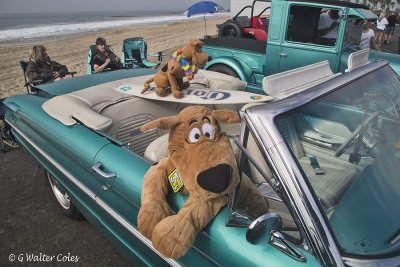 Ford 1960s Falcon Convertible w Animals NB 10-15-16 (2) Surfin.jpg