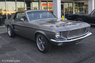 Mustang 1967 FB DD 4-17 (1) F.jpg