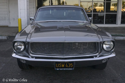 Mustang 1967 FB DD 4-17 (2) G.jpg