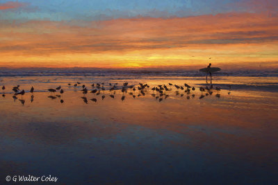 Sunset 1-17-17 Surfer Gulls B (4) Van Gogh I.jpg
