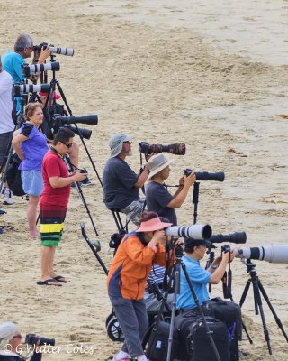 Photographers US Open 7-30-17 (1) Long lenses.jpg