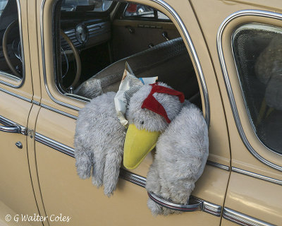 Chevrolet 1940s Duck in Window DD 5-17 (1).jpg