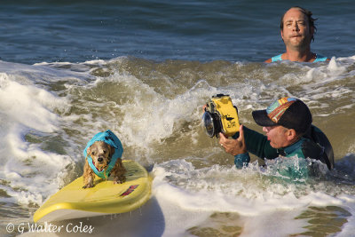 Surf Dog Events 9-23-17 (19) Photog.jpg