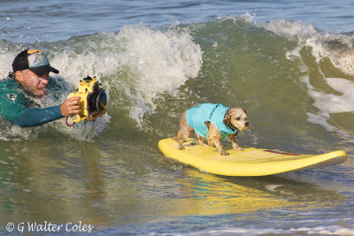 Surf Dog Events 9-23-17 (34) Photog.jpg