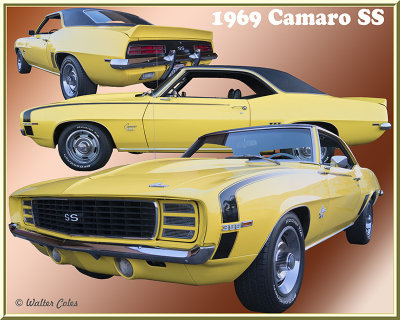 Camaro 1969 SS DD 9-23-17 Collage.jpg