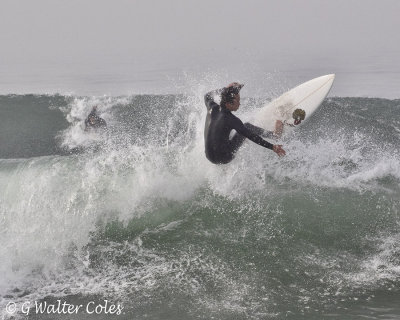 Surfing HB 1-17-18 (1).jpg