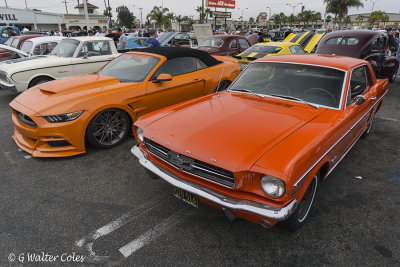 Mustang 1966 + 2000s DD 7-17.jpg