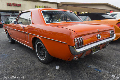 Mustang 1966 Red DD 7-17 (1) R.jpg