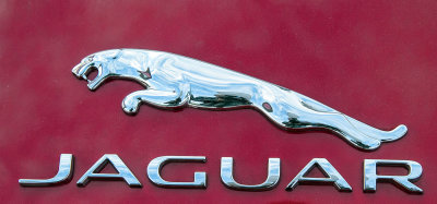 Jaguar 2000s Red Convertible (4) Emblem.jpg