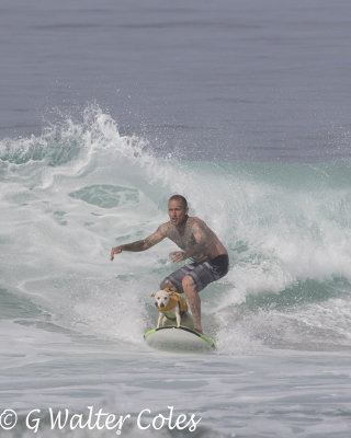 Surfer_Dog_and_Man_HB_2_7818_1.jpg
