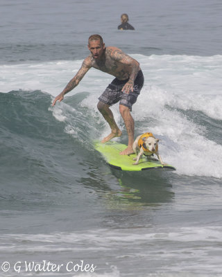Surfer Dog and Man HB 2 7-8-18 (5) W.jpg