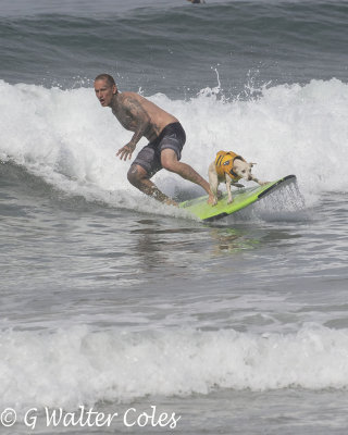 Surfer dog and man HB 7-8-18 (4) W.jpg
