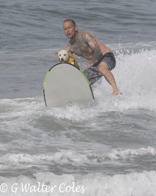 Surfer dog and man HB 7-8-18 (10) W.jpg