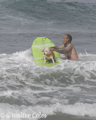 Surfer dog and man HB 7-8-18 (11) W.jpg