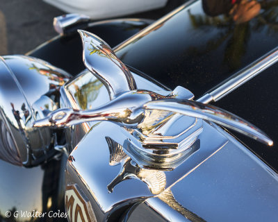 MG 1956 Sedan DD 10-21-17 (6) Hood ornament.jpg