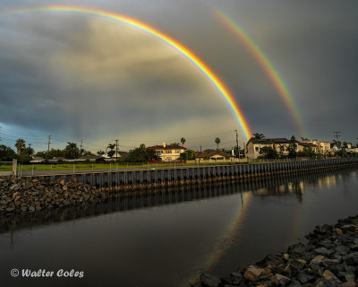 Rainbow_Magnolia_Preserve_12618_2_CC_T5_Studio_W.jpg