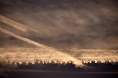 Le dernier matin
