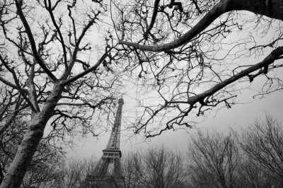 January Paris' sky