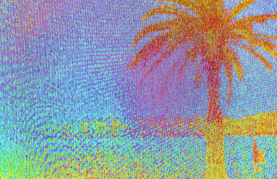 Abstracted Palm