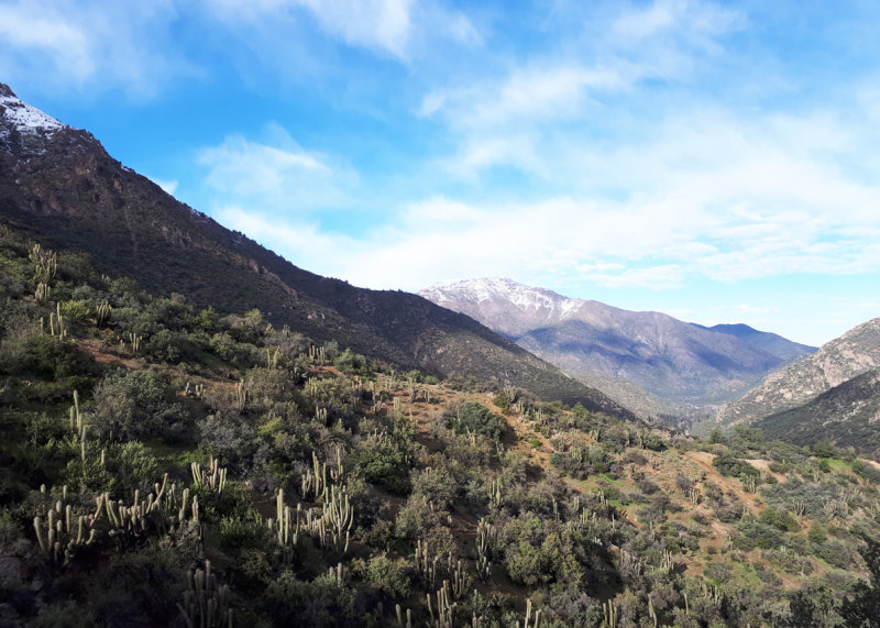 Chile - Región Metropolitana - Parque Cordillera Yerba Loca