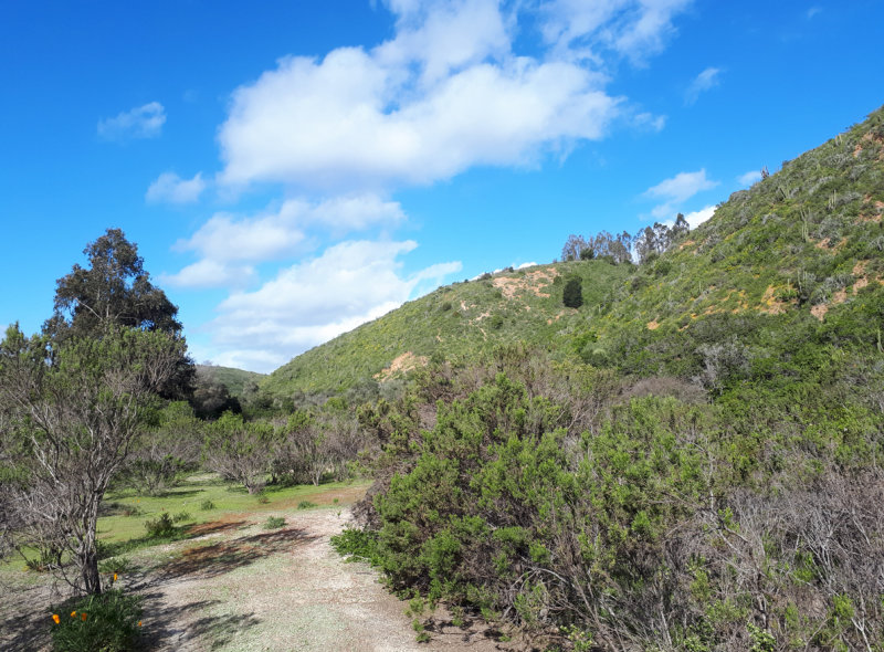 Mattoral - Chile - Valparaíso
