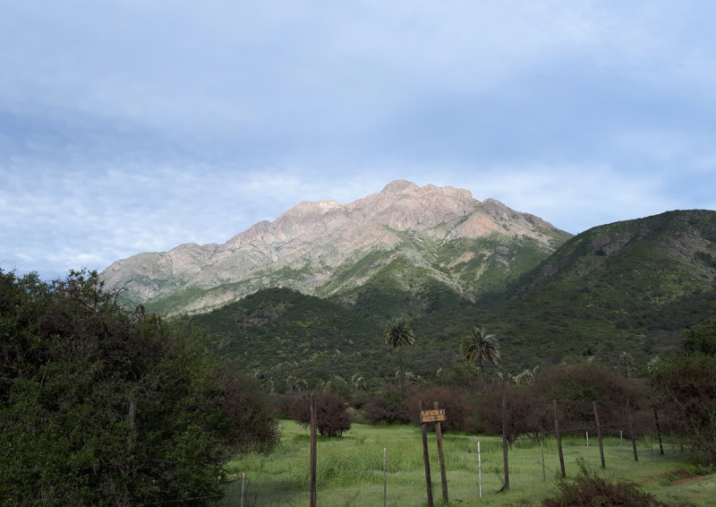Chile - La Campana National Park