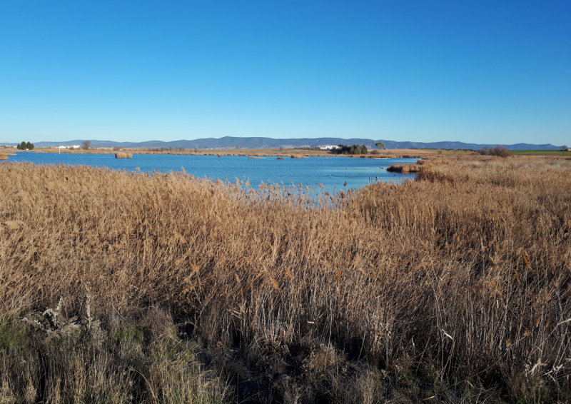 Spain - Daimiel, Laguna de Navaseca