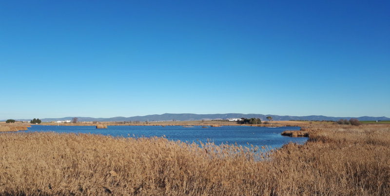 Spain - Daimiel, Laguna de Navaseca