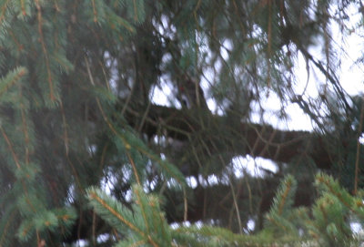 g10/24/1048224/3/165138886.I7klk9F7.jpg