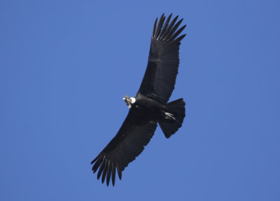 g10/24/1048224/3/166483952.z5CV9yzF.jpg