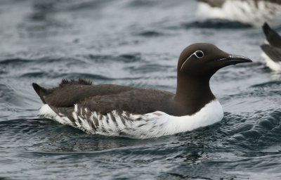 g10/24/1048224/3/167774607.rgAOAkeA.jpg