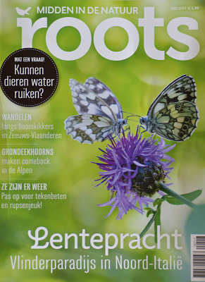 Publicatie / Publication in Roots Magazine