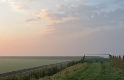 Ochtendgloren (Ouddorp)