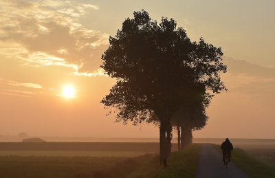 Ochtendzon / Morning Sun (Ouddorp)