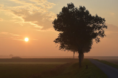 Ochtendzon / Morning Sun (Ouddorp)