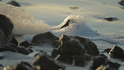 Strand van Ameland.