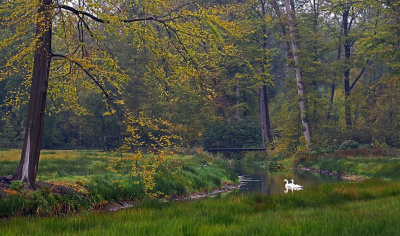 Landgoed Twickel (Delden)