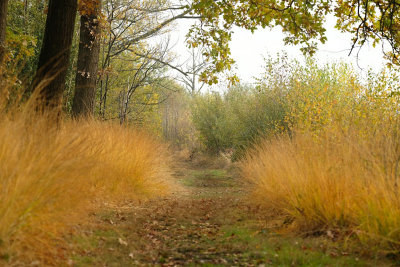 Haaksbergerveen.