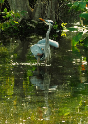 g10/24/1183324/3/165196436.x6INR0IX.jpg