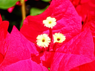 g10/24/1183324/3/165371879.9Omc2zmL.jpg