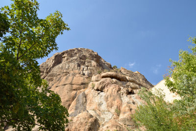 DSC_6792.jpg