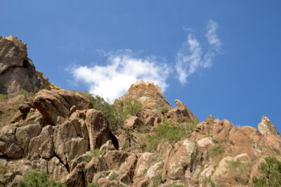 DSC_6805.jpg