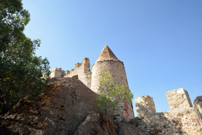 DSC_6845.jpg