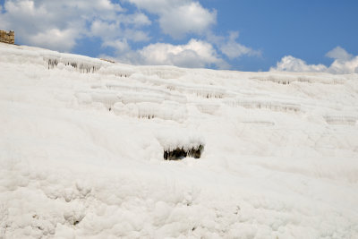 DSC_0408.jpg