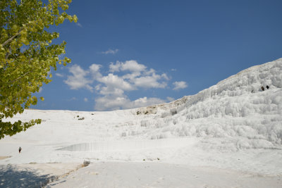 DSC_0426.jpg