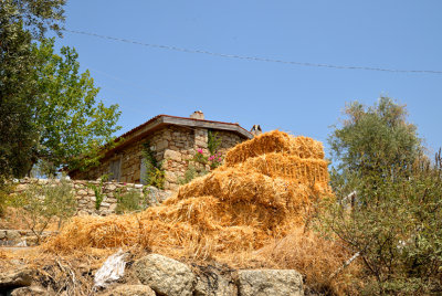 DSC_6424.jpg